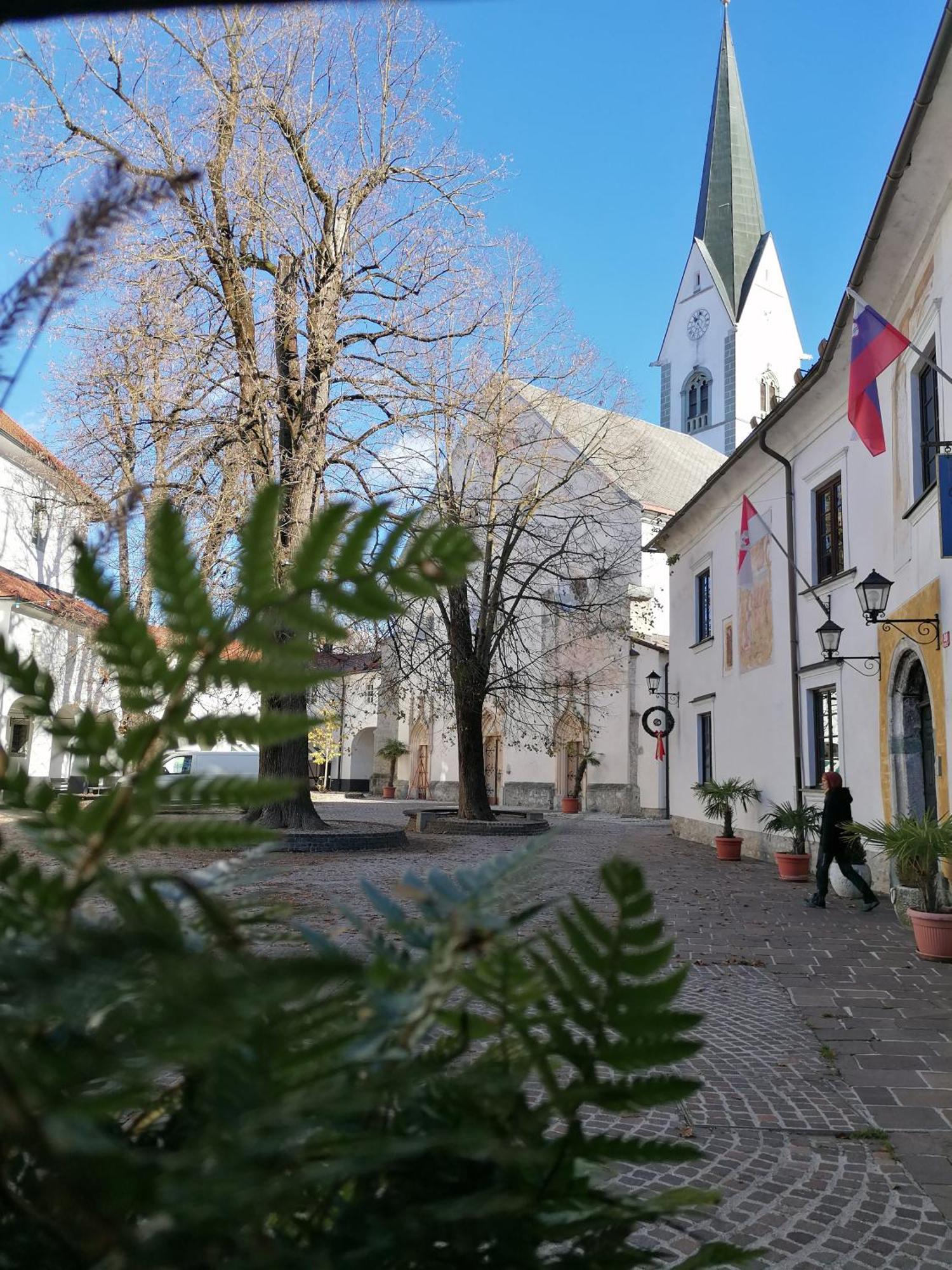 Vila Radolca Apartments & Rooms Radovljica Exterior foto